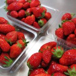 毎年恒例♪　　イチゴジャムを作ろう！